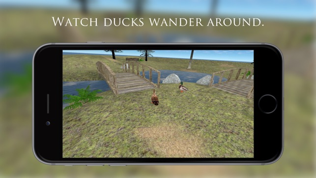 Duck Pond VR