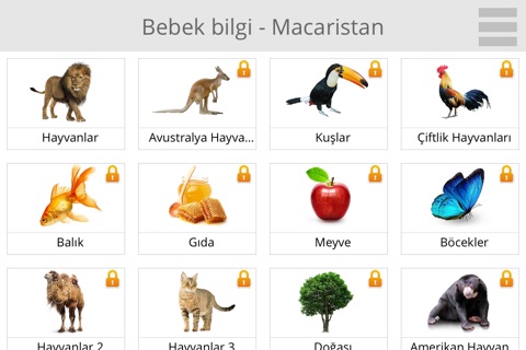 Baby Learn - HUNGARIAN screenshot 2