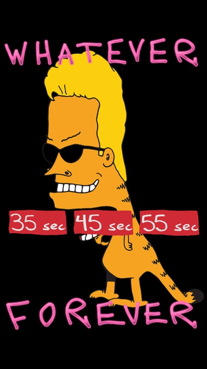 Whatever Forever Timer