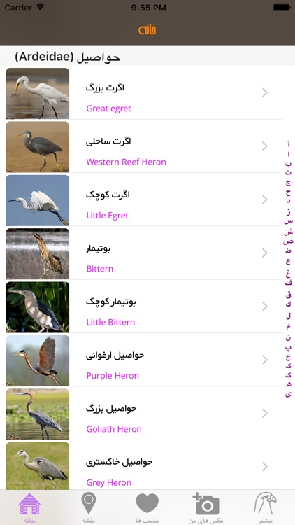 iranbirds