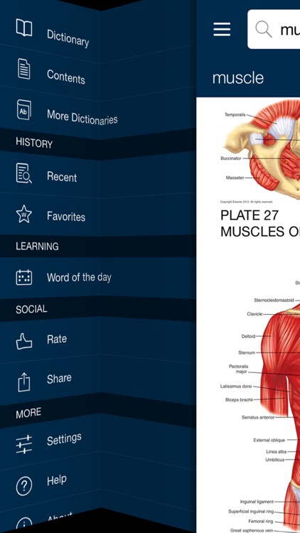 Dorland's Illustrated Medical Dictionary, Elsevier