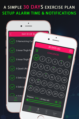 30 Day Leg Fitness Challenges ~ Daily Workout Free - náhled