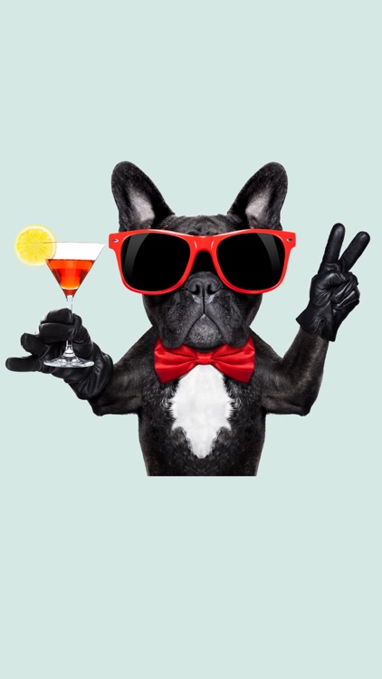 Frenchie Stickers screenshot-4
