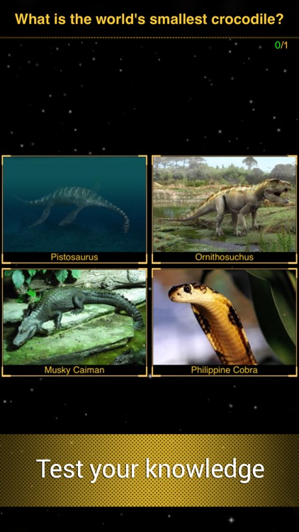 Dino Walk: Continental Drift & Ice Age Period screenshot-4