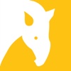 Tapir - Capture the moment and share videos