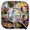 Searching For Home Hidden Objects