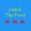 Catch The Fruit Pro