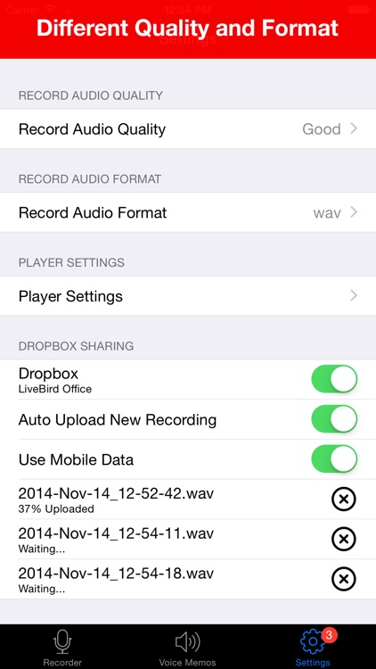 Voice Recorder - HD Audio Recording & Playback screenshot-4