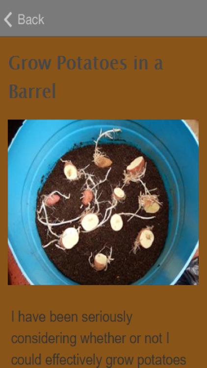 How To Grow Potatoes