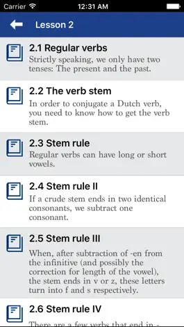 Game screenshot Dutch Grammar - Improve your skill hack