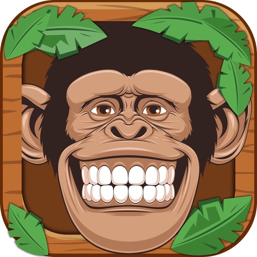 Rolling Monkey iOS App