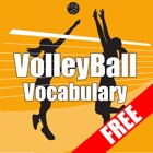 Free Basic VolleyBall Vocabulary