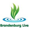Brandenburg-live
