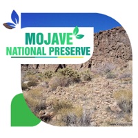Mojave National Preserve Travel Guide
