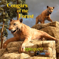 Activities of Cougars of the Forest