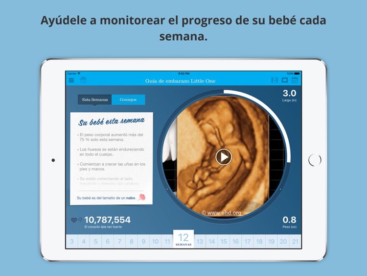 Guía de embarazo Little One screenshot-3