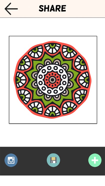 Adult Coloring Book Color Therapy Pages Stress