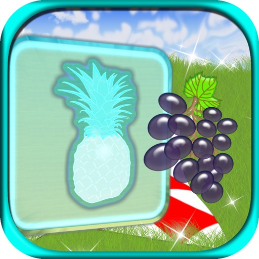 Fruits Match Wood Puzzle icon