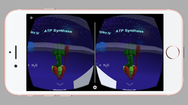 Mitochon VR(圖3)-速報App