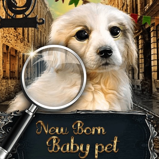 New Born Baby Pet Hidden Objects Icon