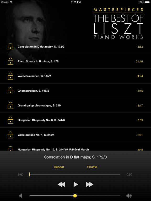 Liszt: Piano Worksのおすすめ画像3