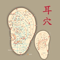 轻松学耳穴大全 - 中医耳穴大全耳穴按摩小帮手