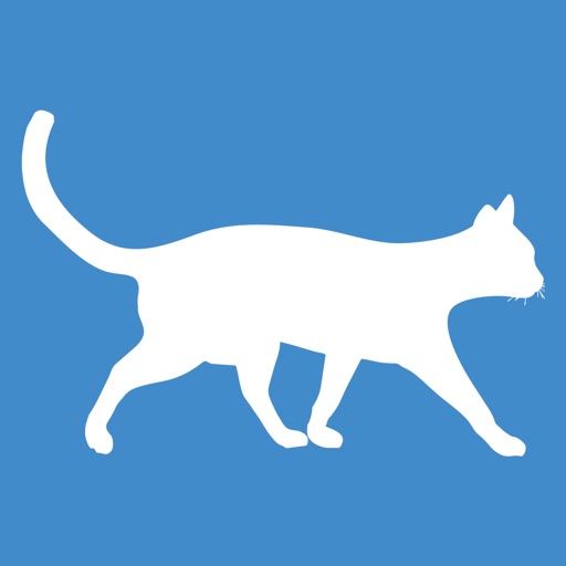 Cat Facts Texts Icon