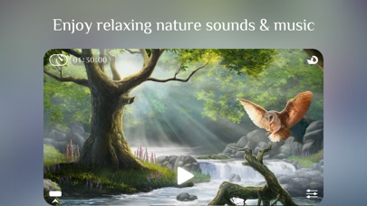 Flowing ~ Meditation in Natureのスクリーンショット