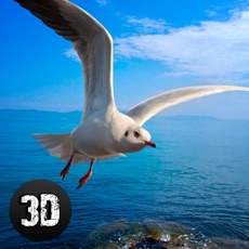 Activities of Seagull Bird Survival Simulator 3D Full