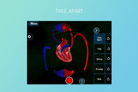 Blood Circulation 3D screenshot 2