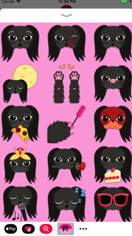 Black Japanese Chin screenshot-4