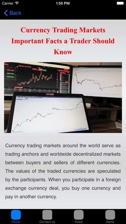 Currency Trading # FX Trading For Beginners screenshot-3