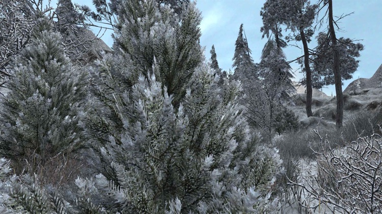 VR Winter World screenshot-3