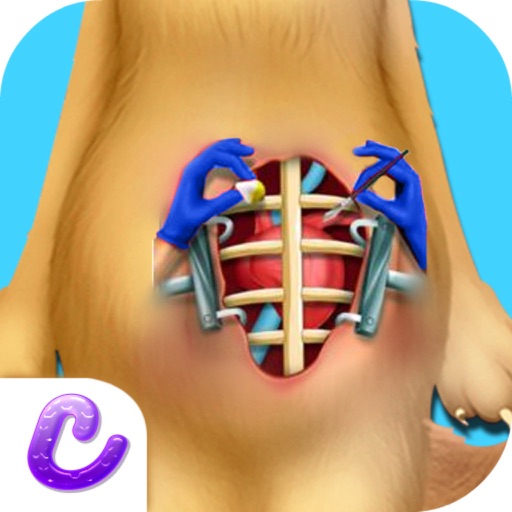 Kitty Stomach Treatment iOS App