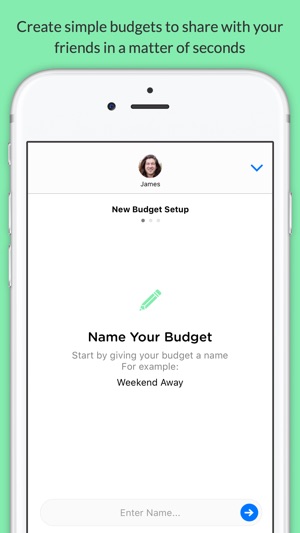 pennies mini share budgets with your friends on the app store