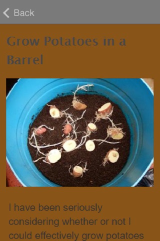 How To Grow Potatoes screenshot 3