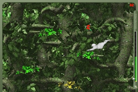 Forest Swing screenshot 4