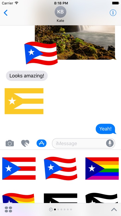 Mi Bandera