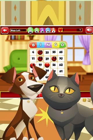 Bingo Gem Mania Pro screenshot 3