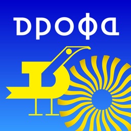 Russian dictionaries by DROFA Publishing House