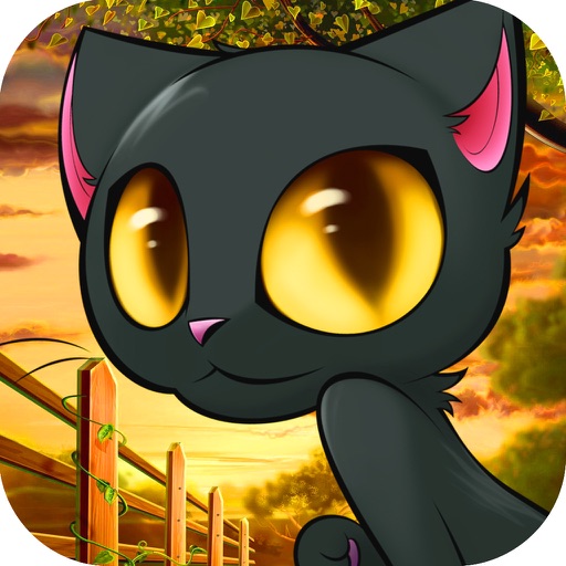 Hollywood Cats in the Summer Kitchen for Casino HD iOS App