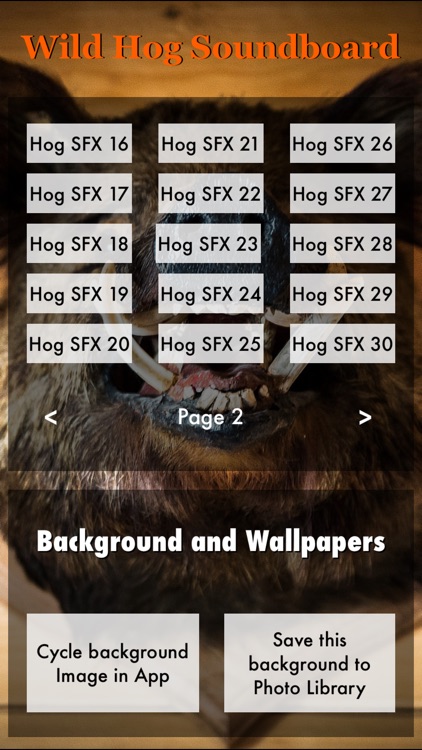 Wild Hog Sound Effects Including Calls, Grunts, Snorts and More PLUS Bonus Wallpapers