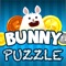 Icon Brain Training Mind Puzzle Games - Bunny Rabbit