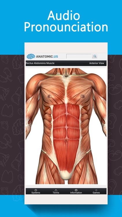 Anatomy Game Anatomicus Lite