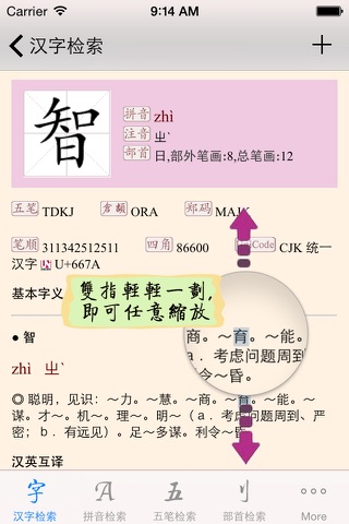 汉语字典专业版 screenshot 2