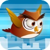 Owl Run
