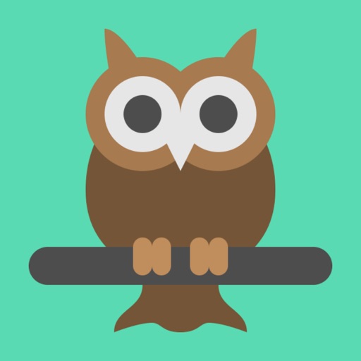 Bubo - Time management icon