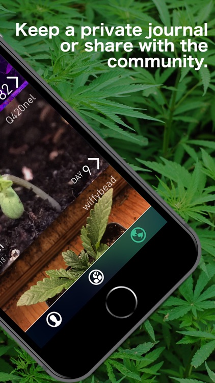 bud - Grow Journal & Community
