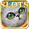 Lucky Casino - Vegas 777 Slot Machine