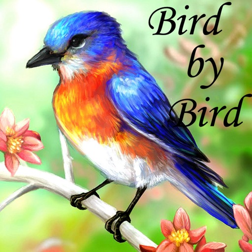 Practical Guide for Bird by Bird:Key Insights and Daily Inspiration icon